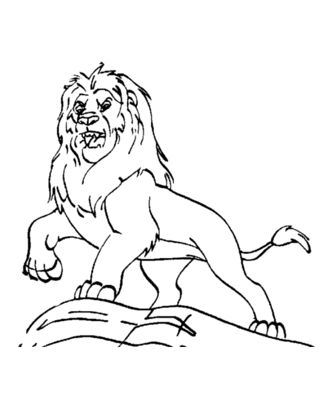 Lions Coloring Pages - Coloring Kids