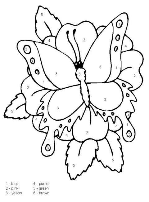 Math-is-Fun-coloring-page-16