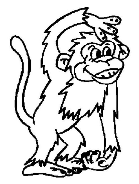 Monkeys-coloring-page-12