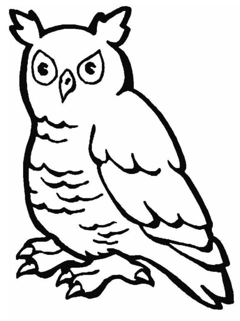 Owls-coloring-pages-2