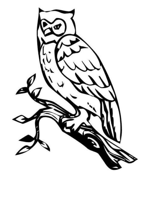 Owls-coloring-pages-5