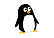 penguin coloring for kids