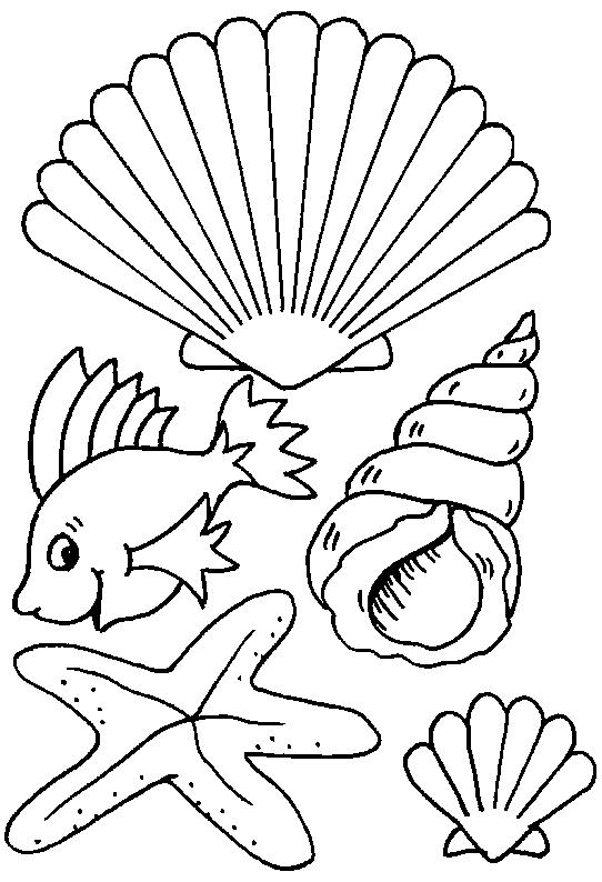 Seaside coloring page 60 Coloringkids