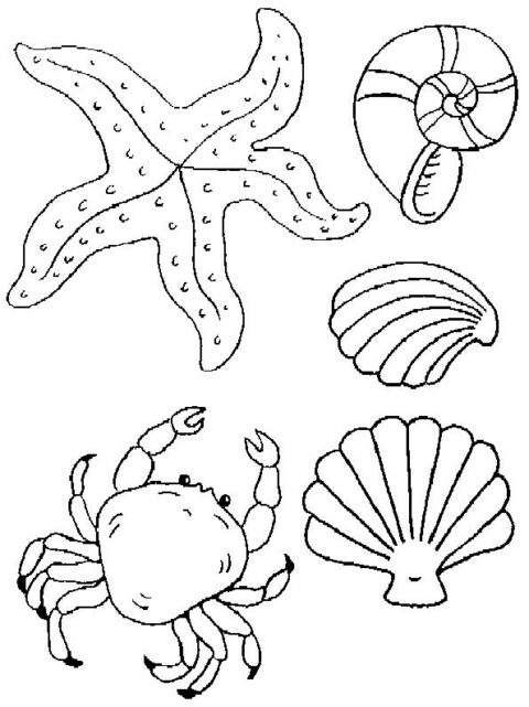 Seaside-coloring-page-68