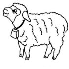 Sheep Coloring Pages - Coloring Kids
