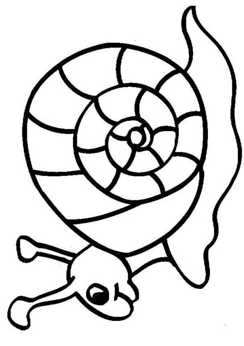 Snails-coloring-page-10
