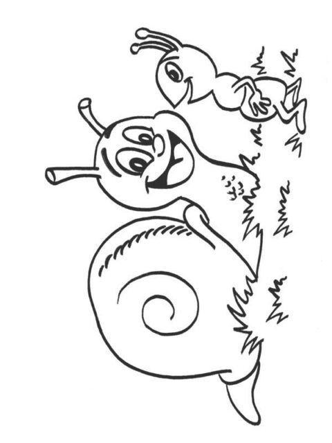 Snails-coloring-page-8