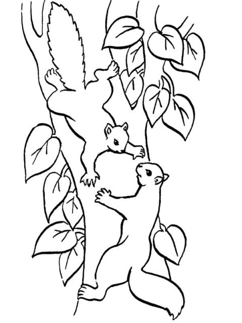 Squirrels-coloring-page-14