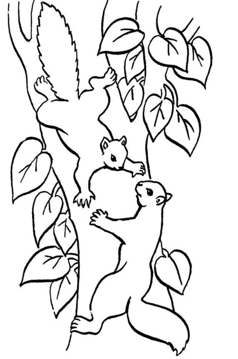 Squirrels-coloring-page-33