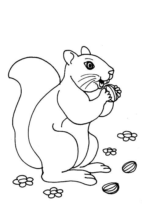 Squirrels-coloring-page-35