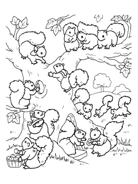 Squirrels-coloring-page-4