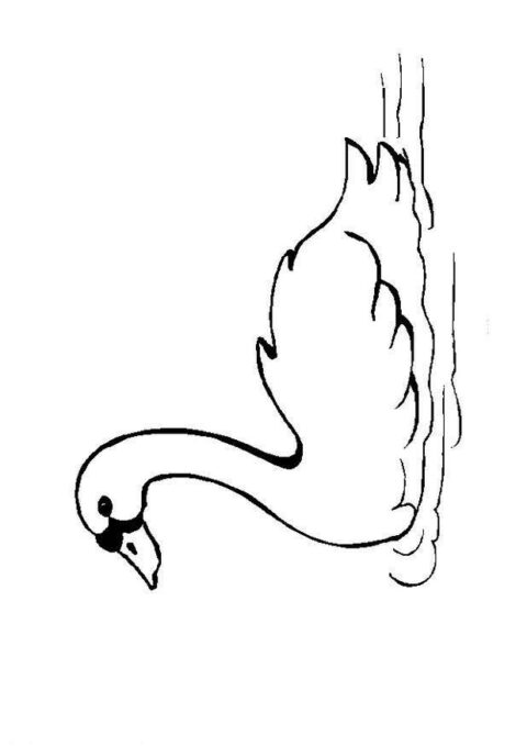 Swans-coloring-page-15
