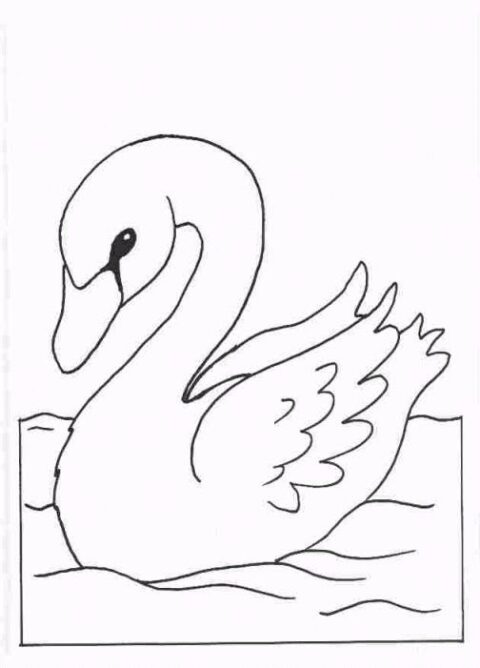 Swans-coloring-page-2