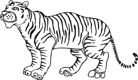 Tigers Coloring Pages