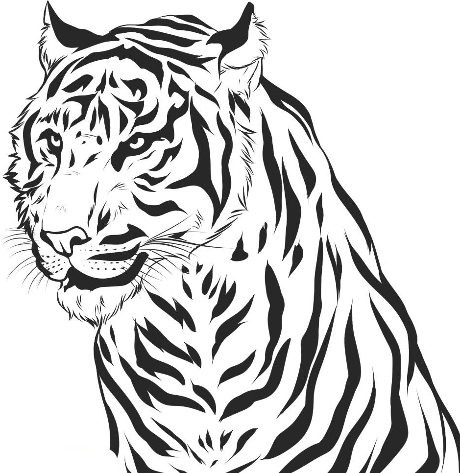 Tigers Coloring Pages Coloringkids