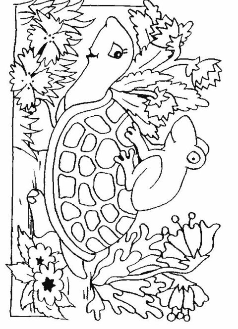 Turtles-coloring-book-17