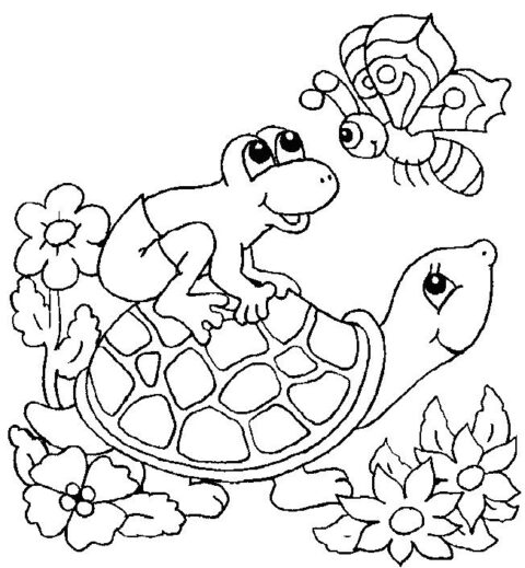 Turtles-coloring-book-3