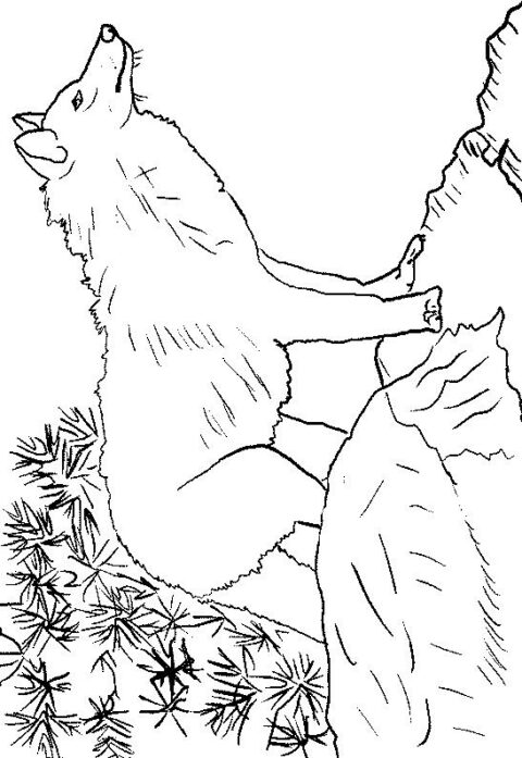 Wolves-coloring-page-17