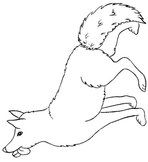 Wolves-coloring-page-19