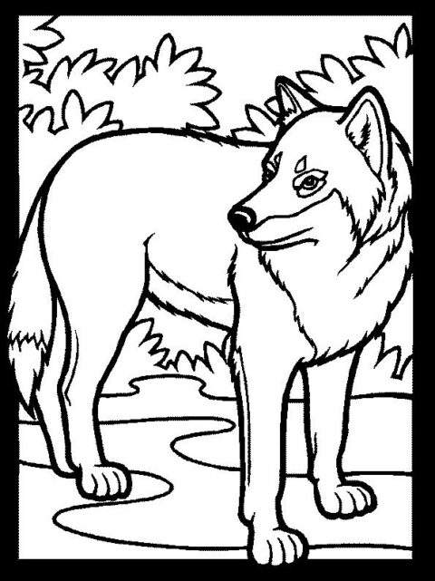 Wolves-coloring-page-20