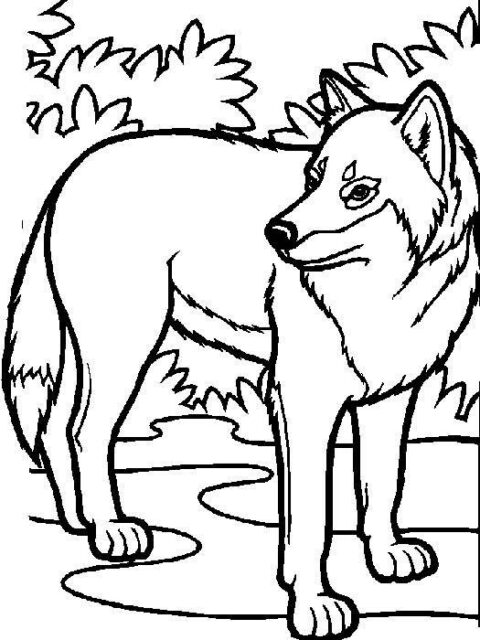 Wolves-coloring-page-26