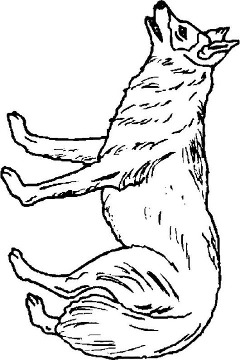 Wolves-coloring-page-6