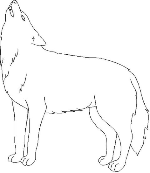 Wolves-coloring-page-9