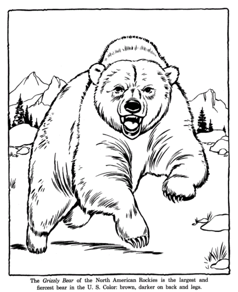 Zoo Coloring Pages (5)