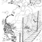 Zoo Coloring Pages - Coloring Kids