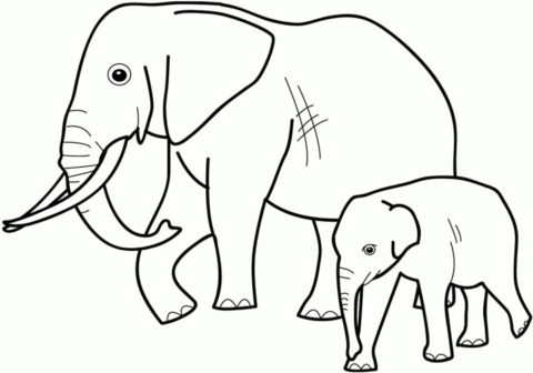 Animal Coloring Pages (10)