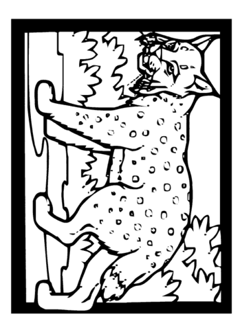 Animal Coloring Pages (12)