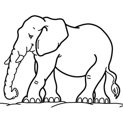 Animal Coloring Pages (15)