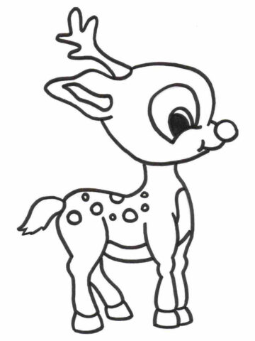 Animal Coloring Pages (17)