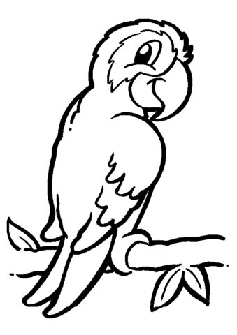 Animal Coloring Pages (18)