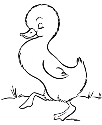 Animal Coloring Pages (2)