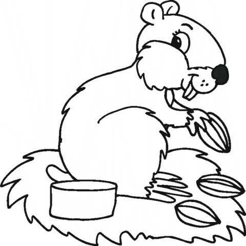 Animal Coloring Pages (25)
