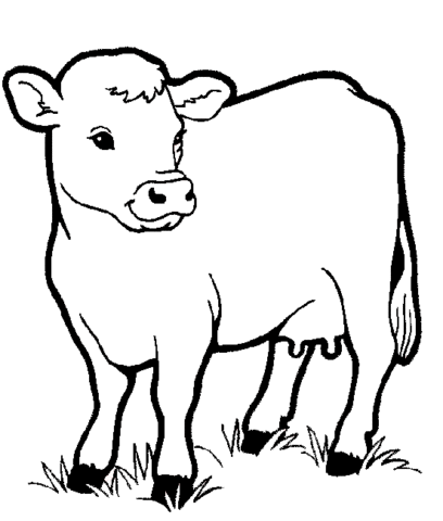 Animal Coloring Pages (8)
