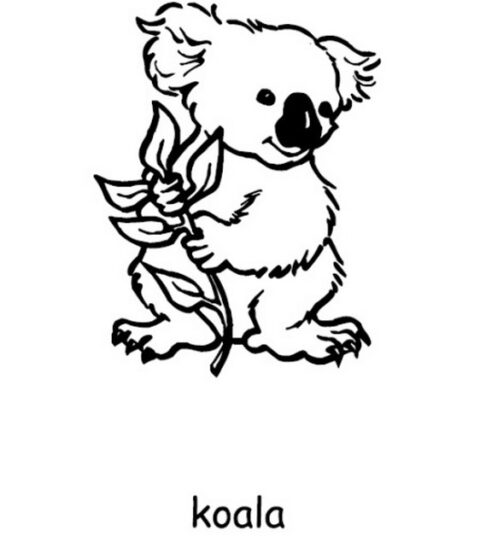 Australia Day Coloring Pages (14)