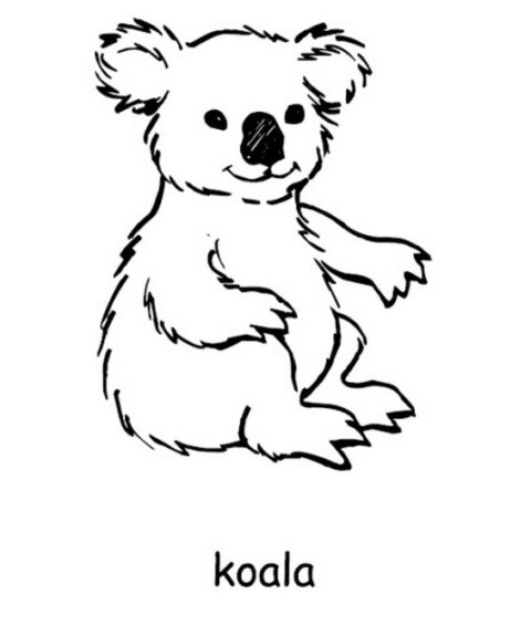 Australia Day Coloring Pages (9)