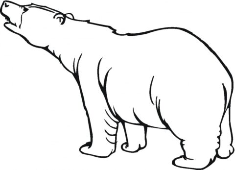 Bear Coloring Pages (13)
