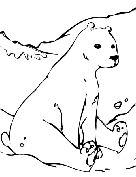 Bear Coloring Pages (2)