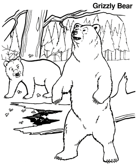 Bear Coloring Pages (22)