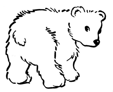 Bear Coloring Pages (6)