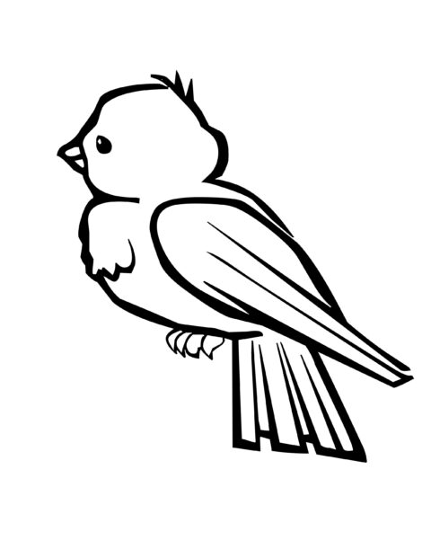 Bird Coloring Pages (1)