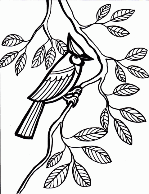 Bird Coloring Pages (11)