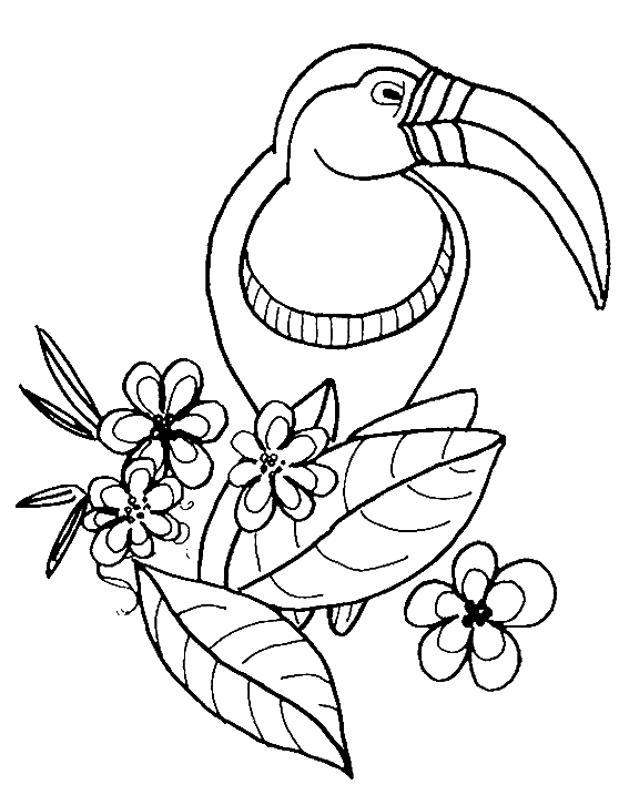 Bird Coloring Pages - Coloring Kids