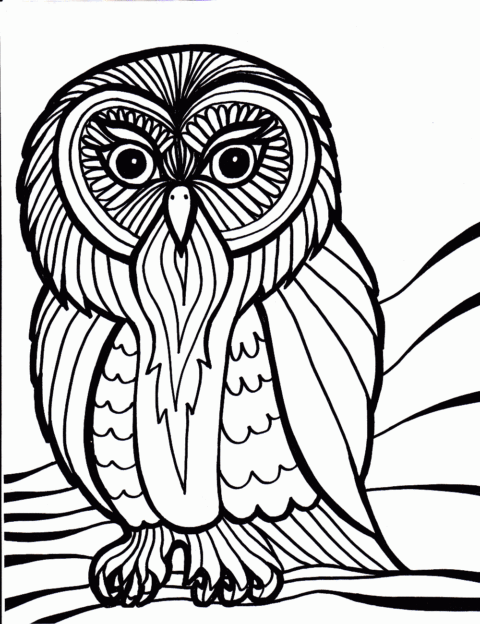 Bird Coloring Pages (16)