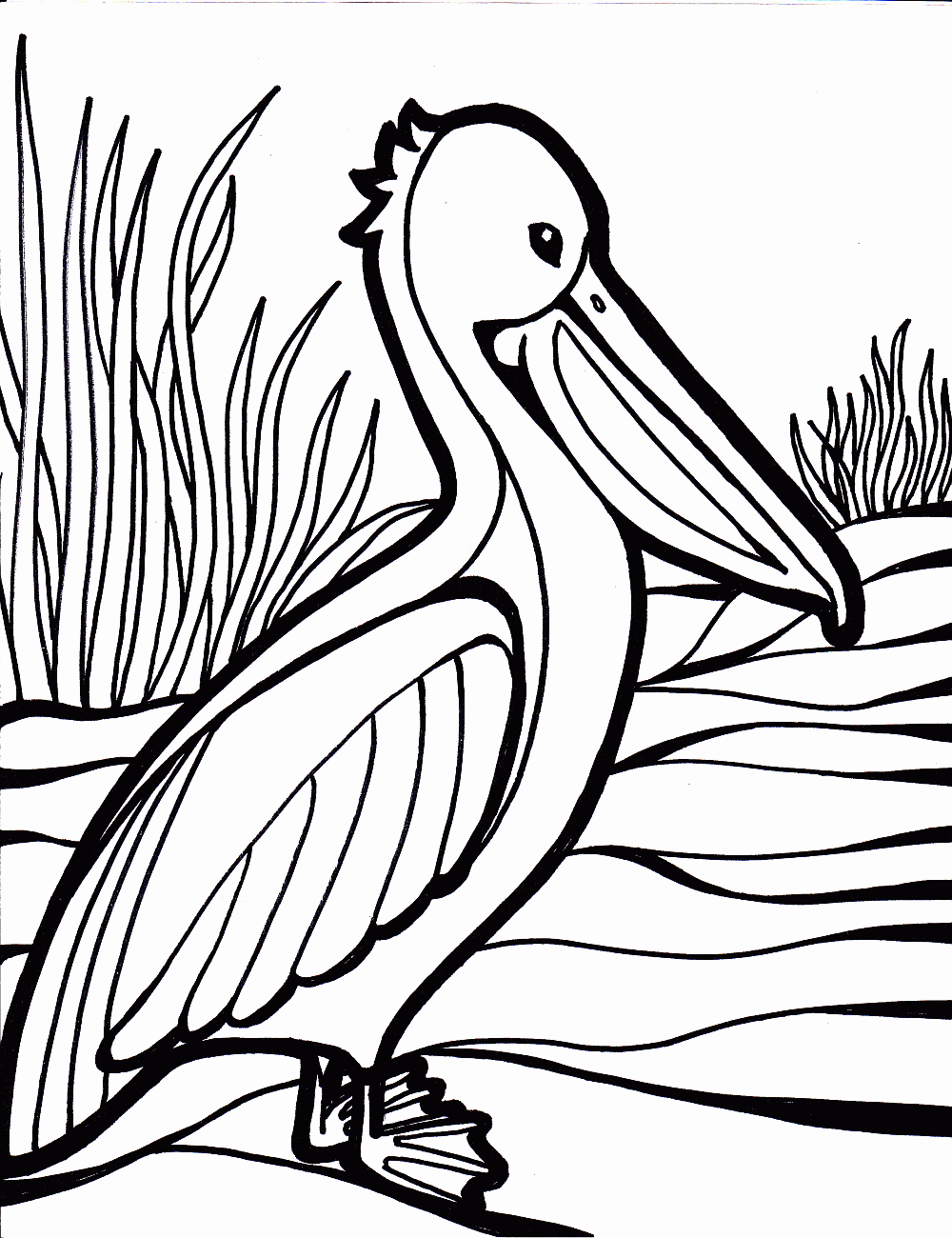 Printable Bird Coloring Pages For Kids Coloring Pages