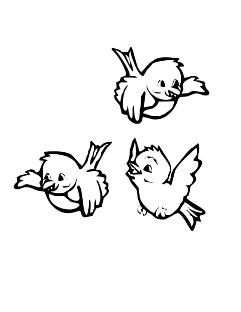 Bird Coloring Pages (5)