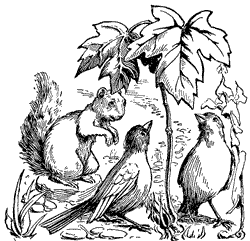 Bird Coloring Pages (6)
